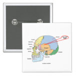 You Are Here (Brain Temporal Region Anatomical) Pinback Buttons