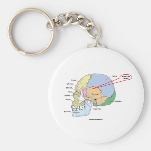 You Are Here (Brain Temporal Region Anatomical) Keychain