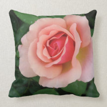 You are Love Rose Pillow