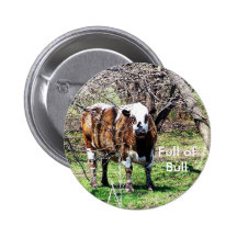 You bully pinback buttons