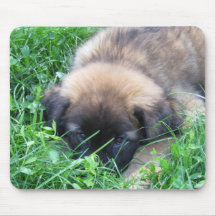 You can't see me! mouse pads