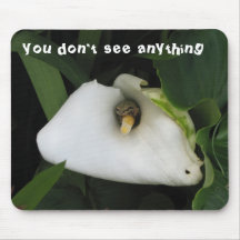 , you don't see anything mouse pads