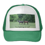 You looking at me? trucker hat