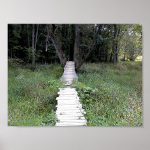 You ride a bike over that? print