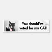 You should've voted for my CAT bumper sticker
