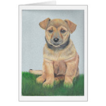 Young Dog Greeting Card