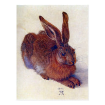 Young Hare by Albrecht Durer, Renaissance Art Postcard