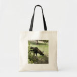 Young moose walking bag