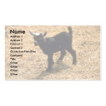 Young Pigmy Goat Business Card Templates