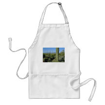 Young Saguaro Cacti, Flowering Ocotillo flowers Aprons