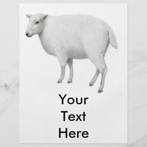 Young Sheep Flyer