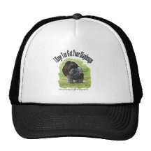 your diaphragm mesh hats