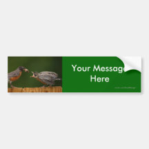 Your Message Bumper Sticker