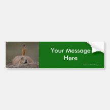 Your Message Bumper Sticker