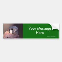 Your Message Bumper Sticker