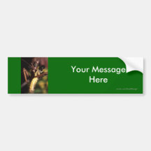 Your Message Bumper Sticker