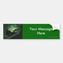 Your Message Bumper Stickers
