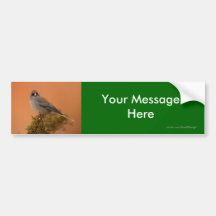 Your Message Bumper Stickers
