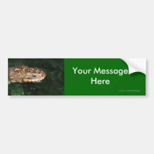 Your Message Bumper Stickers