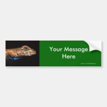 Your Message Bumper Stickers