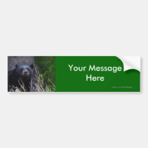 Your Message Bumper Stickers