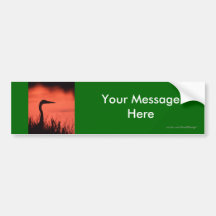 Your Message Bumper Stickers