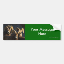 Your Message Bumper Stickers