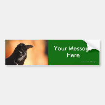 Your Message Bumper Stickers