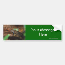 Your Message Bumper Stickers