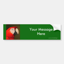Your Message Bumper Stickers