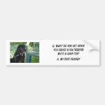 Your Photo Here! My Best Friend Fox Terrier Mix Bumper Stickers