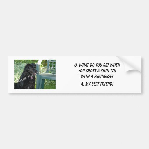Your Photo Here! My Best Friend Shih Tzu Mix Bumper Stickers
