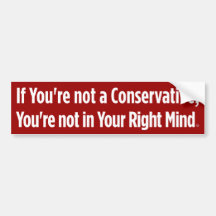 Your Right Mind Bumper Stickers