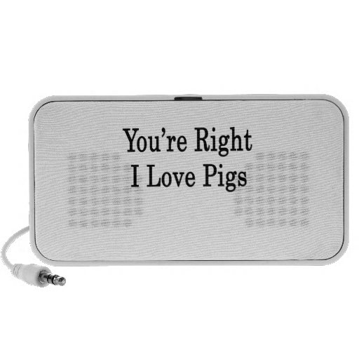 You're Right I Love Pigs Mp3 Speakers