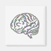 Zany Brainy Magnets