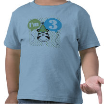 Zebra 3rd Birthday T-shirt