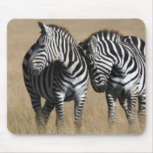 "Zebra Affection" Mouse Pads