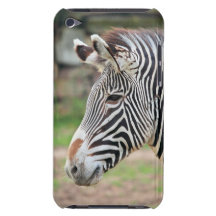 Zebra animal iPod Case-Mate case