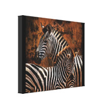 Zebra baby wild animals Africa series Canvas Print