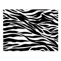 zebra; blank post card