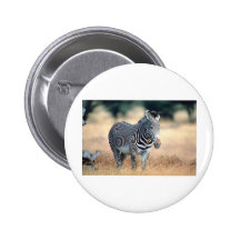 Zebra Button
