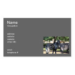 Zebra Friends Business Cards