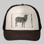 Zebra Lid hats