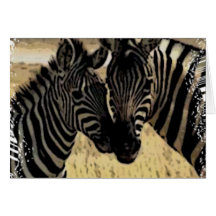 ZEBRA LOVE GREETING CARD