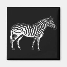 Zebra Magnet