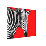 Zebra On Red canvas prints
