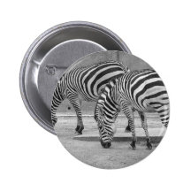 Zebra Pins