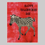 Zebra Red Valentines Day Postcard postcards