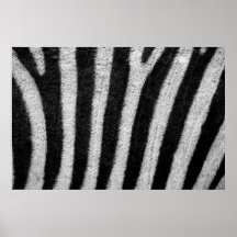 Zebra Skin Poster