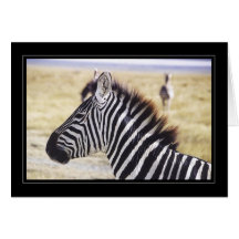 Zebra Up Close Greeting Card
